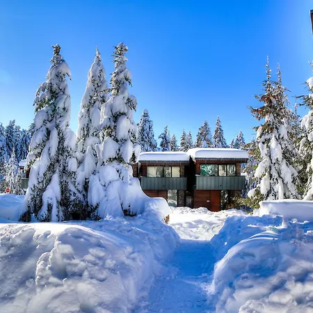 Euphoria Club Отель 4*