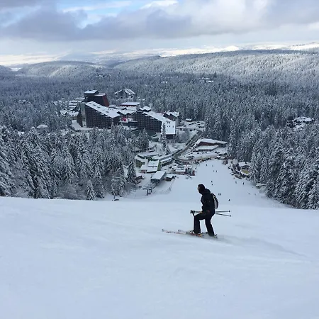 Отель Euphoria Club 4*