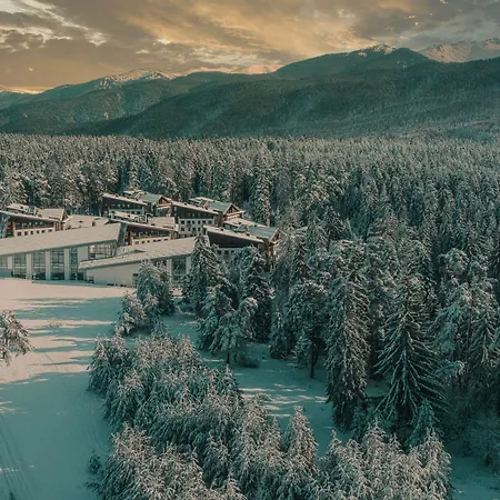 Отель Euphoria Club