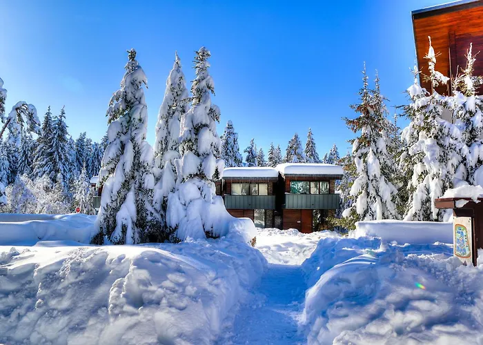 Euphoria Club Hotel 4*